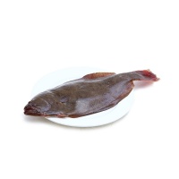 冰鲜水产大连鸦片鱼（牙鲆鱼）2000-2500g