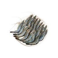 东山岛海捕活冻黑虎虾250g（11-15只）×4