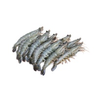 马来西亚液氮冷冻黑虎虾(15-16只)550g